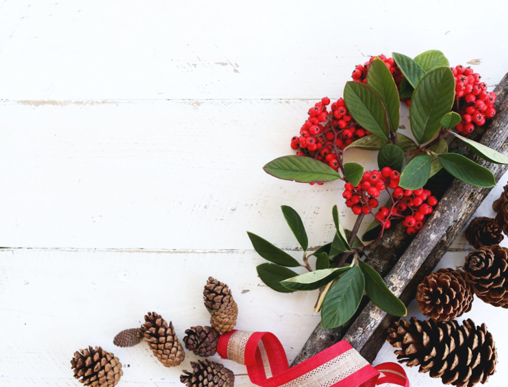 Unlit Artificial Christmas Trees with Red Berry Wreath: Uplifting Hospital Life